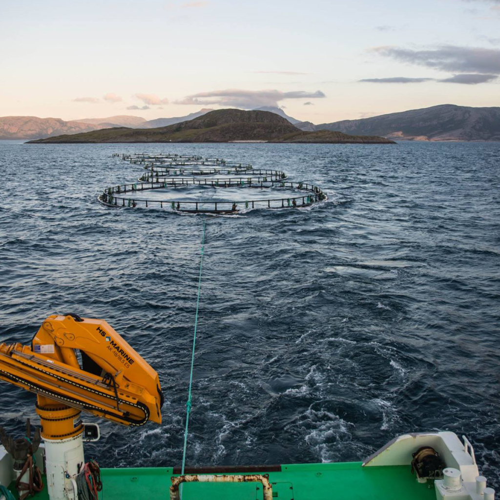 Fish Farming Crane