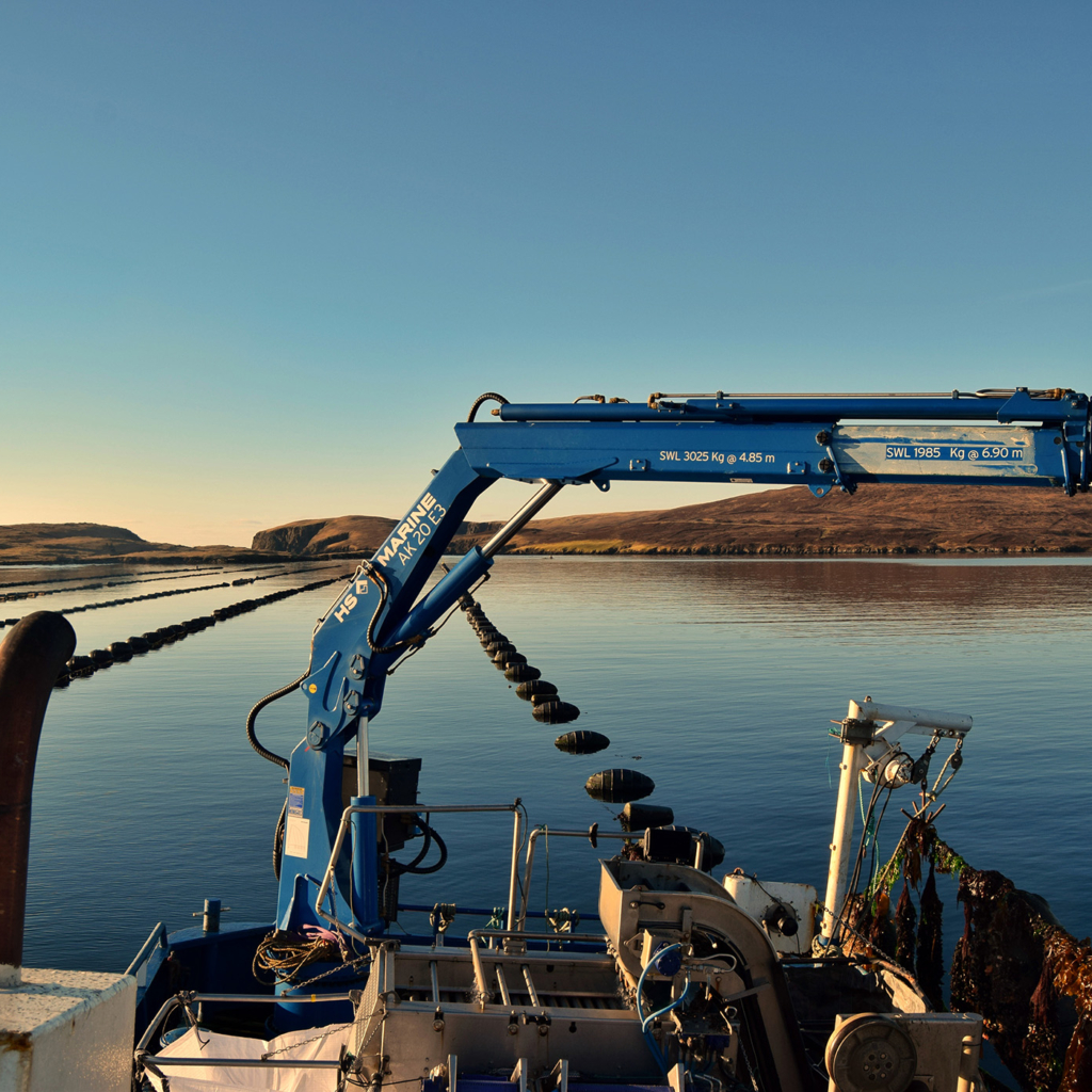 Hs Marine Crane