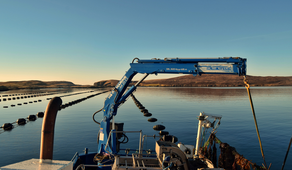 HS.MARINE: the right marine crane for your every need